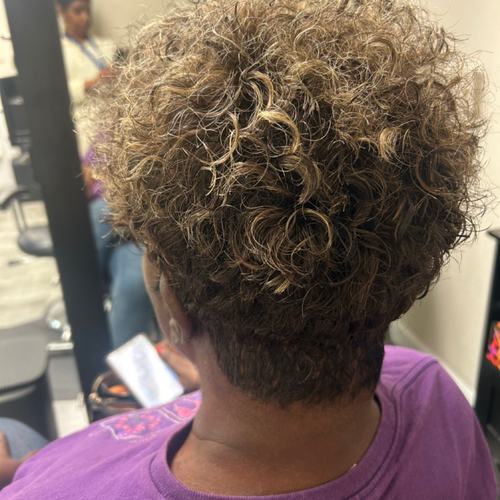 Curly tapered cut with blonde highlights